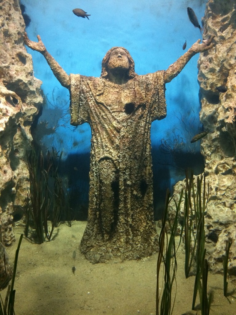 aquarium-malta-qawra-travelblog (44)