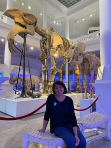 Duceţi copiii la Muzeul Național de Istorie Naturală „Grigore Antipa”, merită drumul